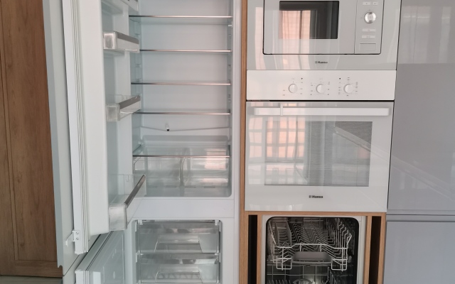 Pionerskaya flat