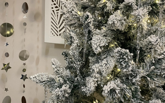 Отель Оазис