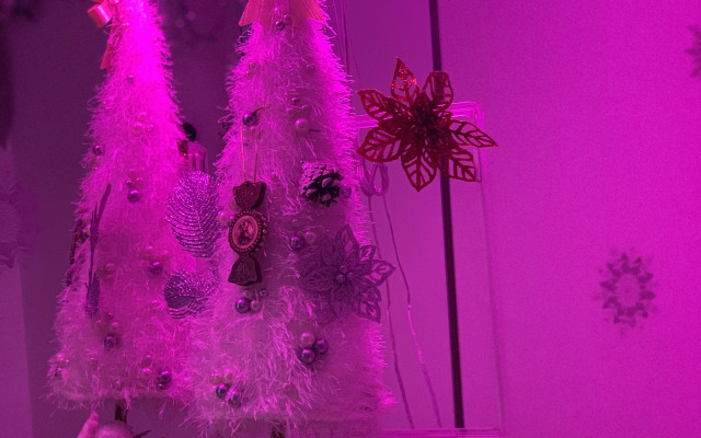 Апартаменты на Вознесенском Шоссе