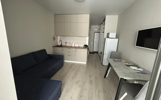 Studiya 389 Na Ulitse Gaydara 22k1 Flat