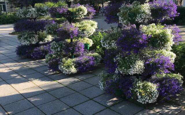 Апартаменты Четыре сезона