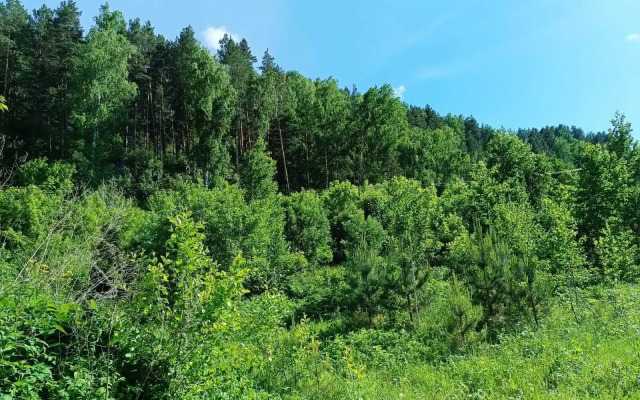Guest house 3 Emirell Altai Na Ulitse Gornoy 2