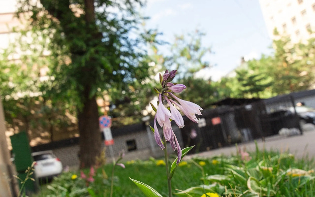 Квартира на Улице Плющиха 58