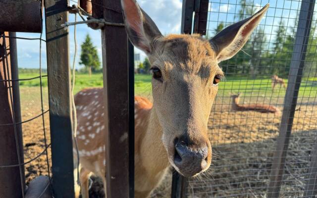 Частный дом Barns Village
