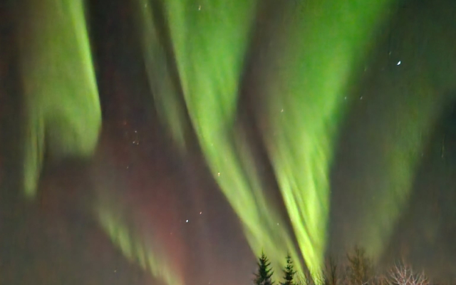 Частный Дом Lava Forest