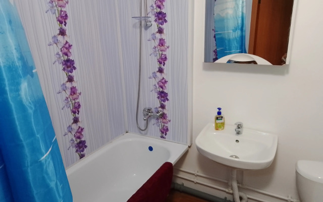 Апартаменты с Видом на Шуваловский Парк