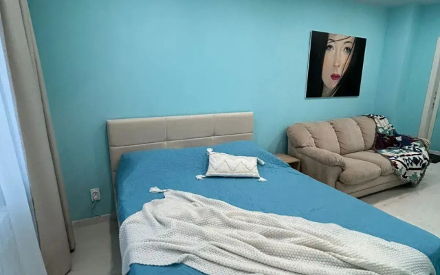 Krasivaya V Tsentre Goroda Flat