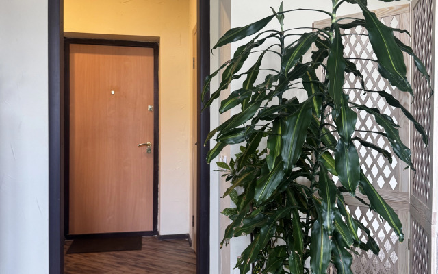 Квартира классическая напротив центрального стадиона