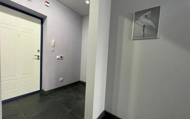 Апартаменты Студия Пентхаус Mix