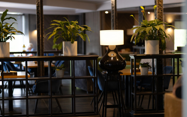 Hotel Aviator Sheremetyevo