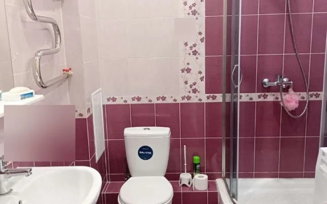 Studiya Na Lermontova 31 Flat