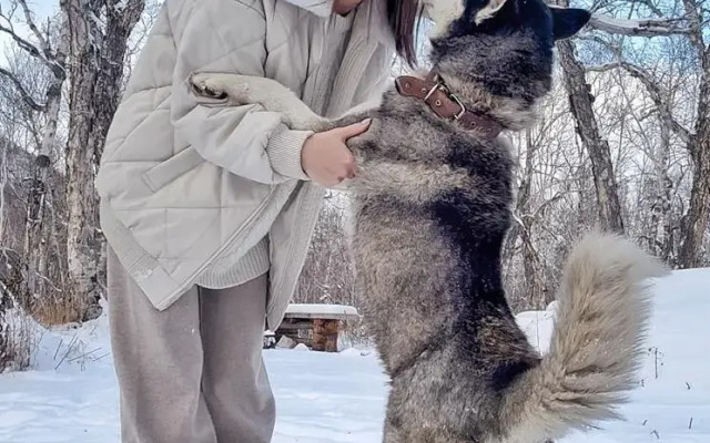 Cottages Goryachaya Sopka