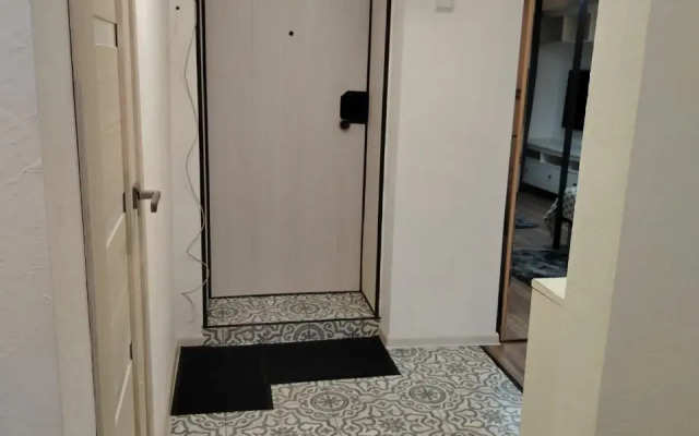 Apartments Uyutnye Apartamenty U Parka