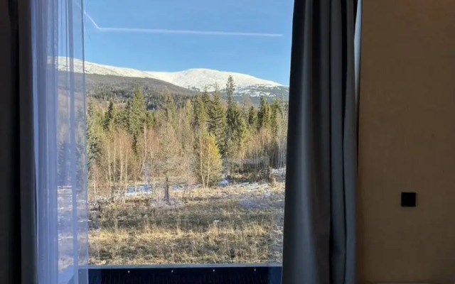 Zerkalny dom Sny Altaya s panoramnym vidom na tajgu i goru Splyk Private house