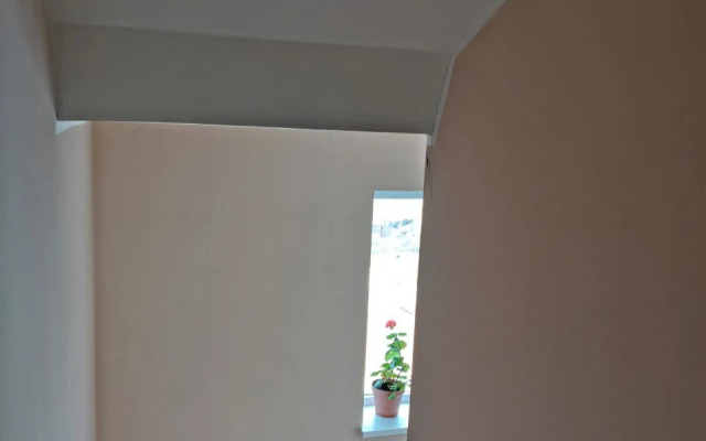 Yevrodvushka V Tsentre Zelenogradska Flat