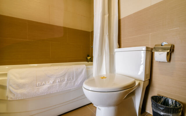 Baly Hotel