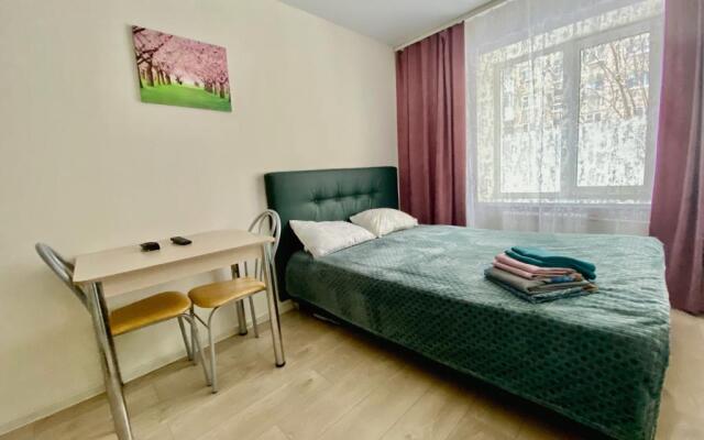 Uyutnaya Kvartira-Studiya Na Ploschadi Marksa Apartments