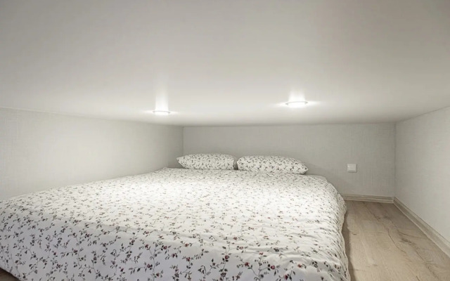 Апартаменты Двухъярусная студия Фонтанка №5