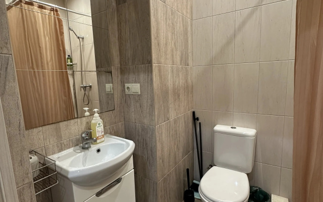 Апартаменты МонтеРоза студия для троих