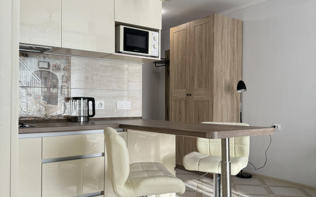 Квартира Студия в Песочном Садовая 90