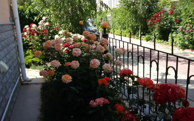 Son Guest house