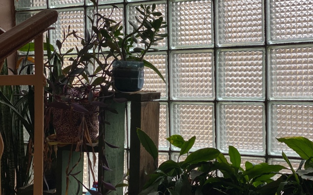 Апартаменты на Колоскова