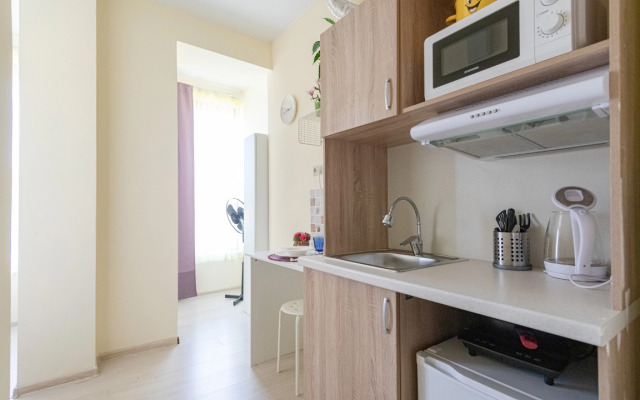 Апартаменты в ЖК Царская Площадь 383-5