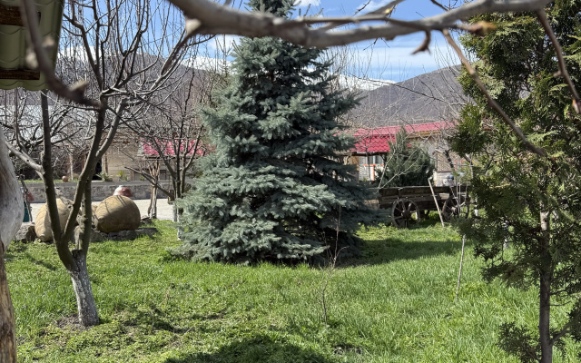 Отель Vibe Vanadzor