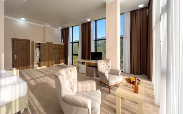 Hotel Chateau Milisi