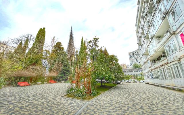 Uyutnaya studiya vozle morya Apartments