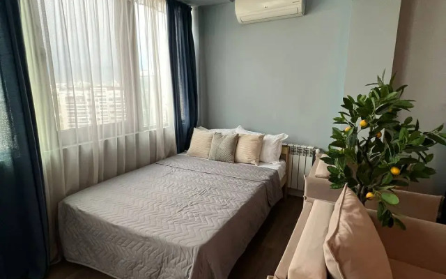 2-Kh Komnatnaya v Zhk Aray Flat