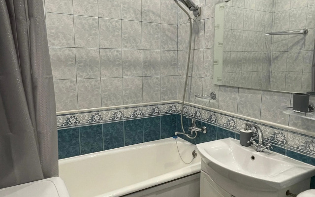 Dvukhkomnatnaya v tsentre Flat