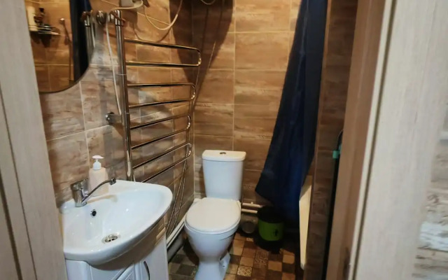 U Starokalinkinskogo mosta Apartments