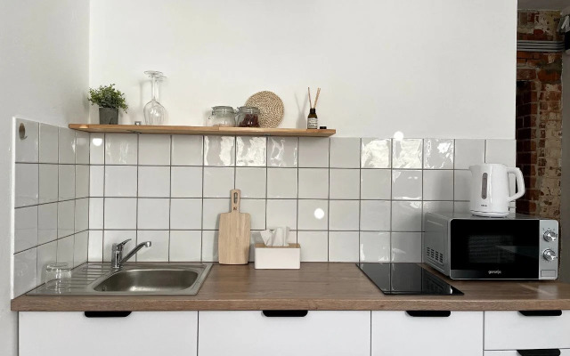 Studiya vo Fligele Starinnogo Doma Flat