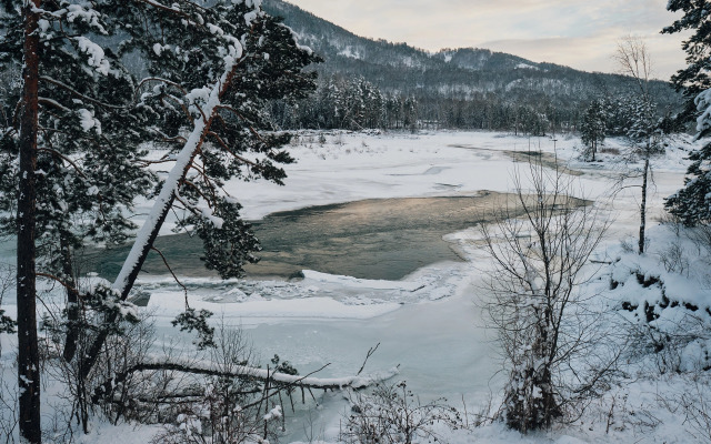 Гостевой дом Кедровый Берег
