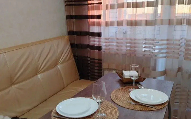 Апартаменты Салмышская 43А