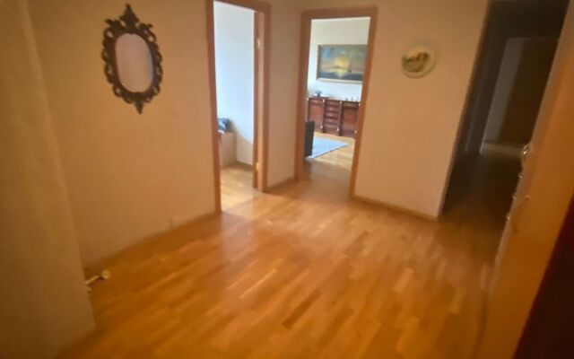 Blagorodnaya klassika v Tsentre Flat