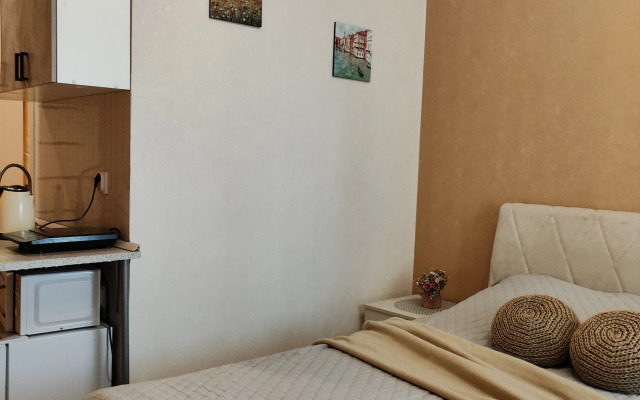 Квартира с дизайнерским ремонтом возле областной больницы