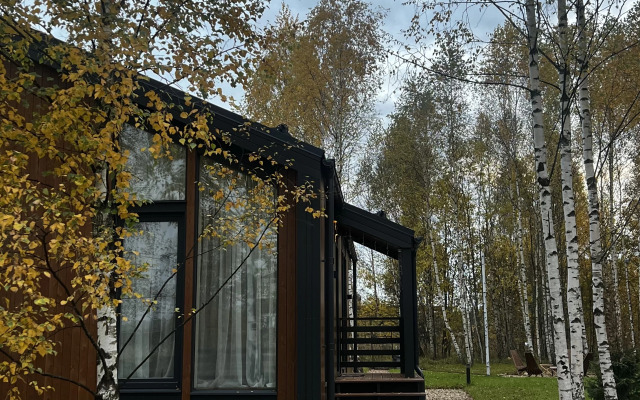 Частный дом в березах