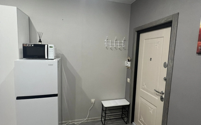 Studiya Na Vidova Flat