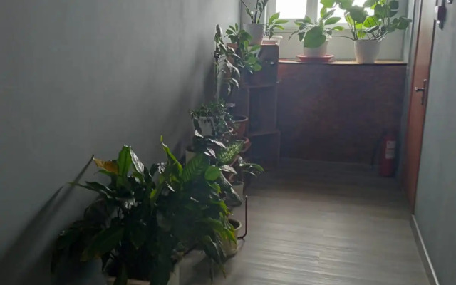 Хостел Полярник