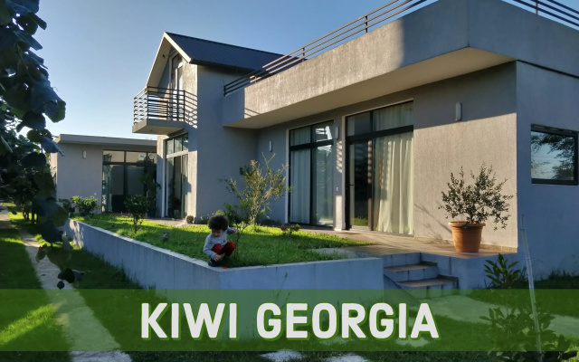 Apartment Kiwi Georgia 2