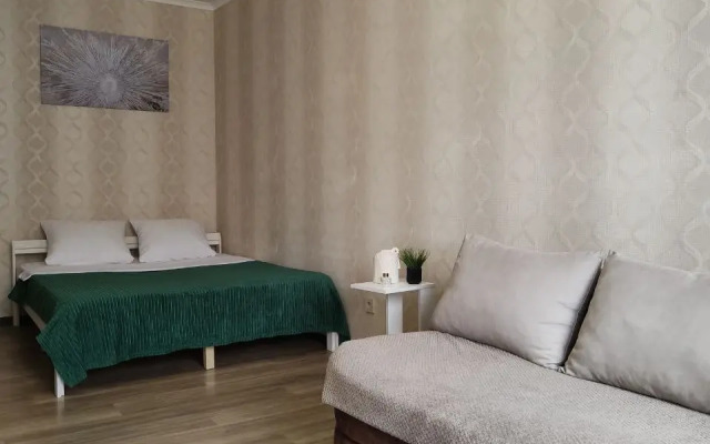 Квартира Просторная Однокомнатная рядом с НИИАП