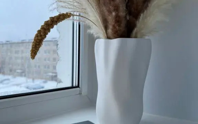 Komfortnaya studiya ryadom so sklonom Flat