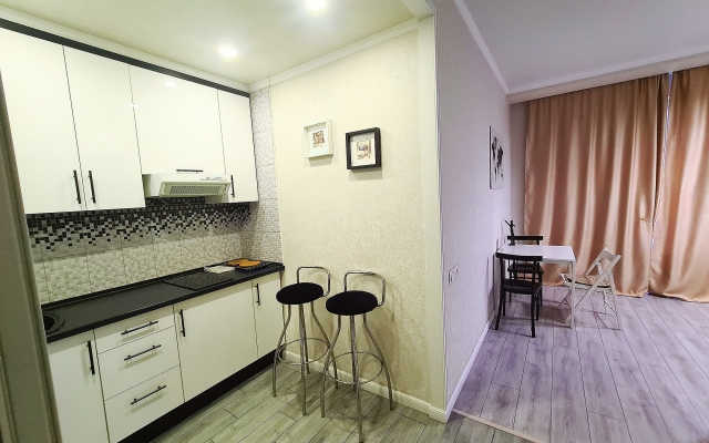Delovoy Tsentr Omska Apartments