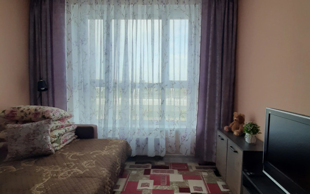 U Finskogo zaliva na Vasilievskom ostrove Flat