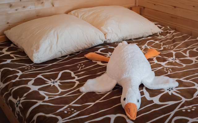 Bereg U Lesa Guest House