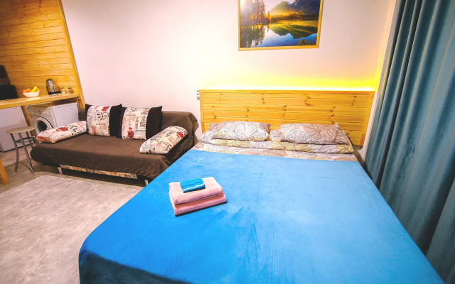 Квартира Большая студия с видом на двор