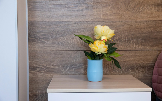 Комфортные апартаменты Этажидейли Белинского 30