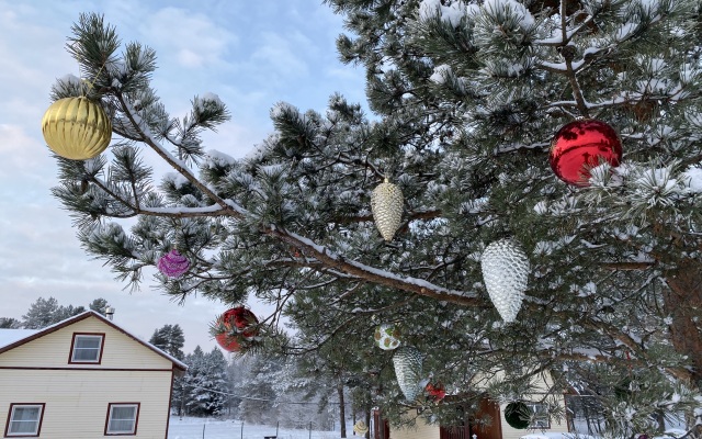 База отдыха Эко Хутор Рай Сяля